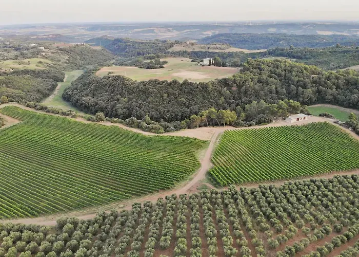 La Volpe E L'uva Dimore